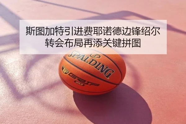斯图加特引进费耶诺德边锋绍尔 转会布局再添关键拼图